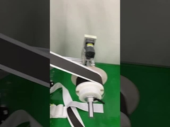 型抜きされた粘着テープ